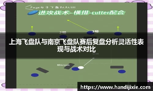上海飞盘队与南京飞盘队赛后复盘分析灵活性表现与战术对比